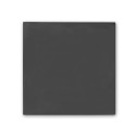 Plateau de table compact 70x70 cm stratifié - Anthracite / GOLDINOX