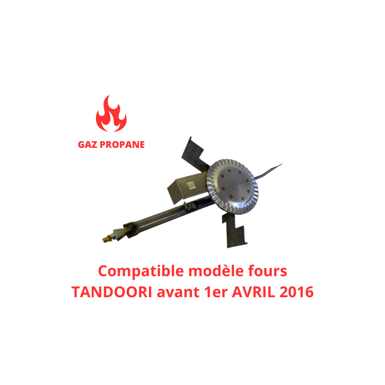 Brûleur gaz propane pour Four Tandoori (AVANT AVRIL 2016) - SHAAN