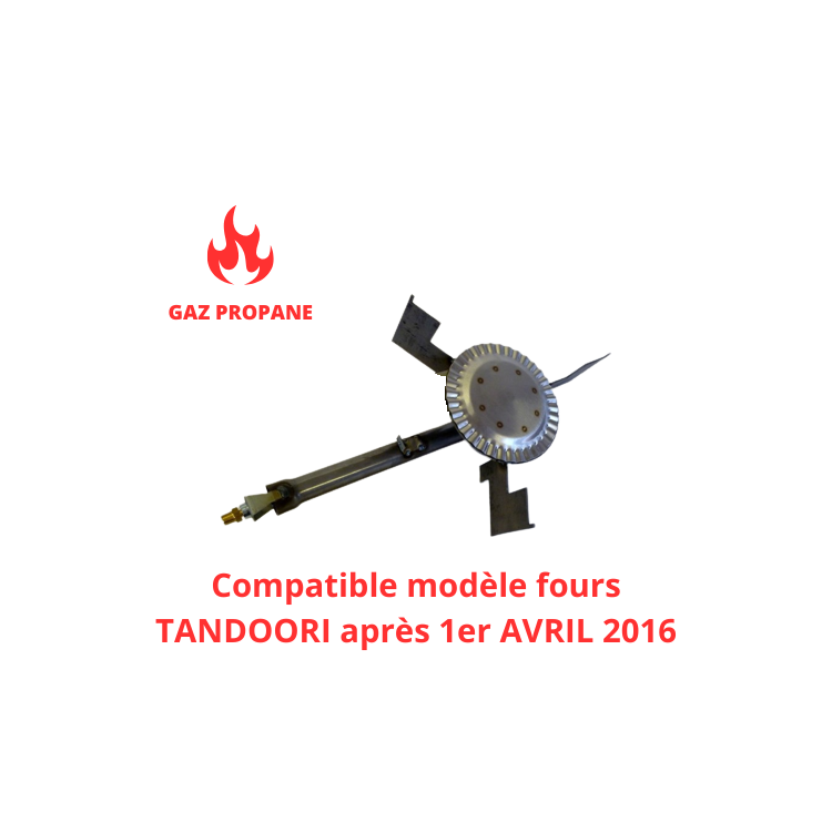 Brûleur gaz propane pour Four Tandoori (AVANT 2016) - GOLDINOX