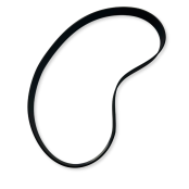 Courroie à coin multiple (10R-370J) pour modèle PET300 et PET301 - GOLDINOX