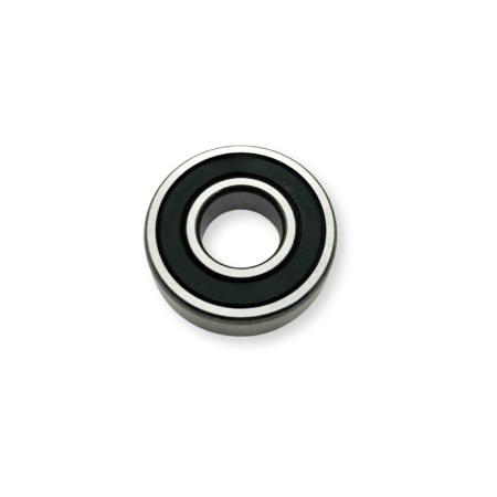 Roulement rigide à billes (6204) pour modèle PET300, PET301, PET401 et PET501 - GOLDINOX