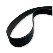 Courroie à coin multiple (10R-370J) pour modèle PET300 et PET301 - GOLDINOX