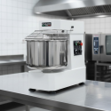 Pétrin à pâte 20 Litres 2 vitesses avec tête et cuve fixe (230V) IDEAL - GOLDINOX